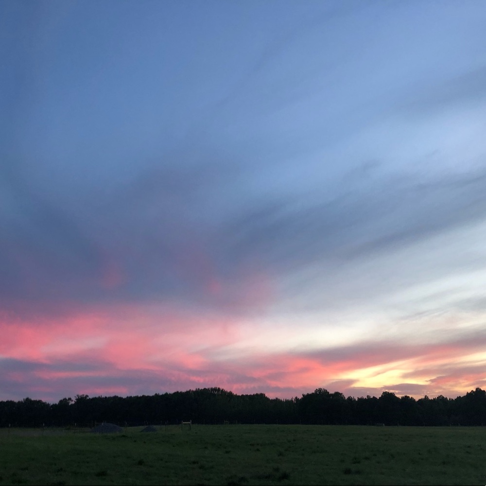 Meet your Posher, Sydney